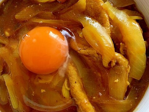 カレー粉とデミグラスソースの素でカレー